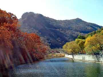 澳门今晚一肖必中特，泰安市泰师附小